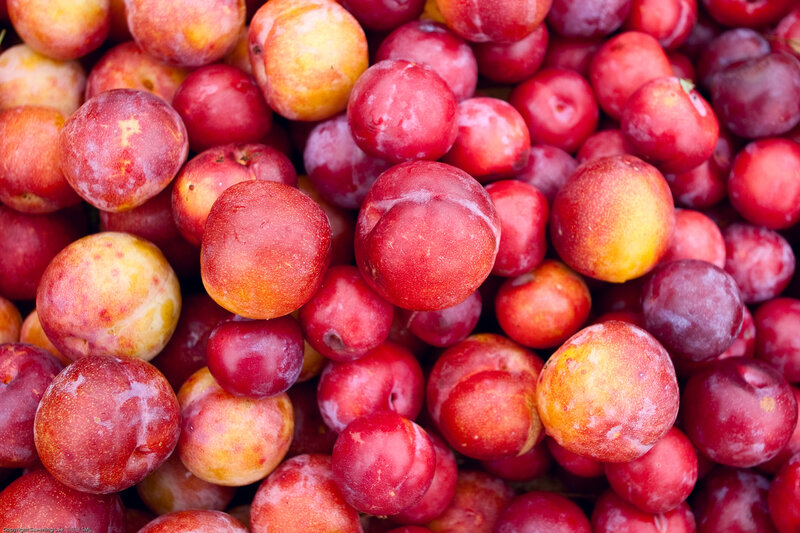 Pile of Plums