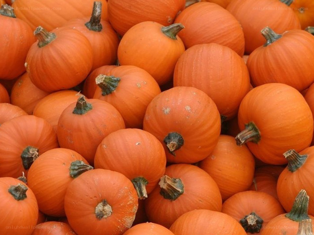 pile of pumpkins