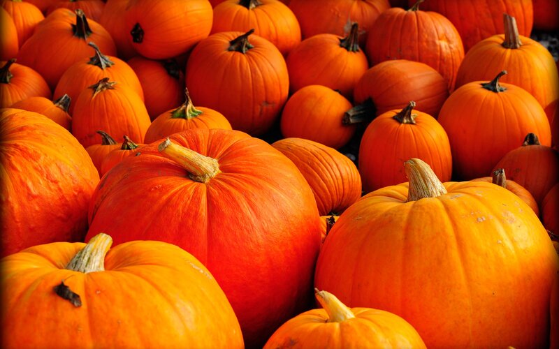 Pile of Pumpkins — Orange, Autumnal
