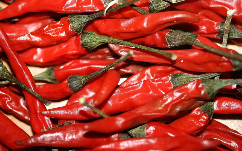 pile of red chili peppers