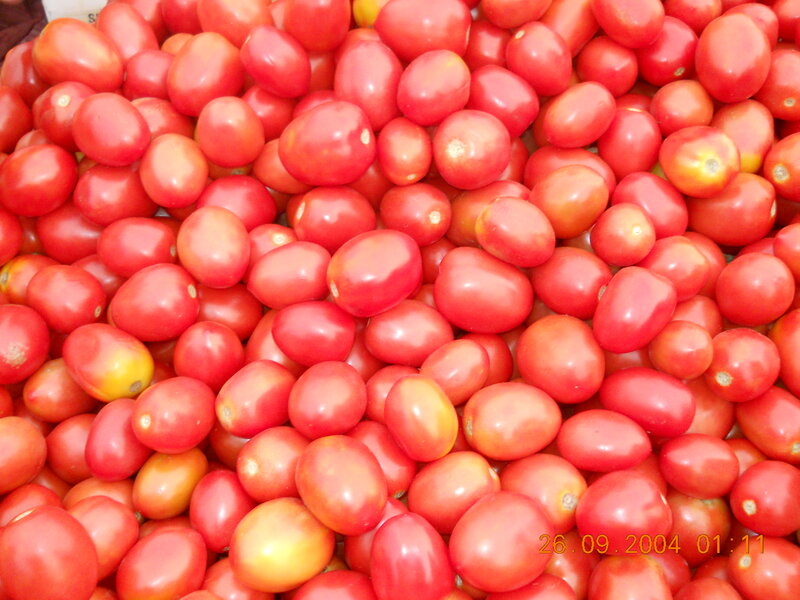 Pile of Red Tomatoes