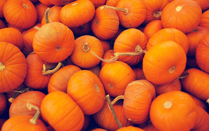 Pile of Small Pumpkins — Orange, Autumnal