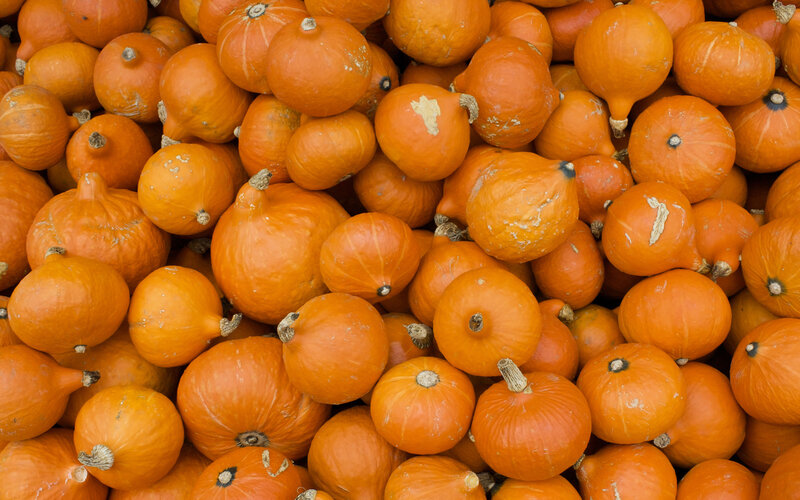 Pile of Small Pumpkins — Orange