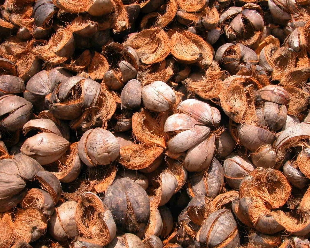 piles of coconut shells