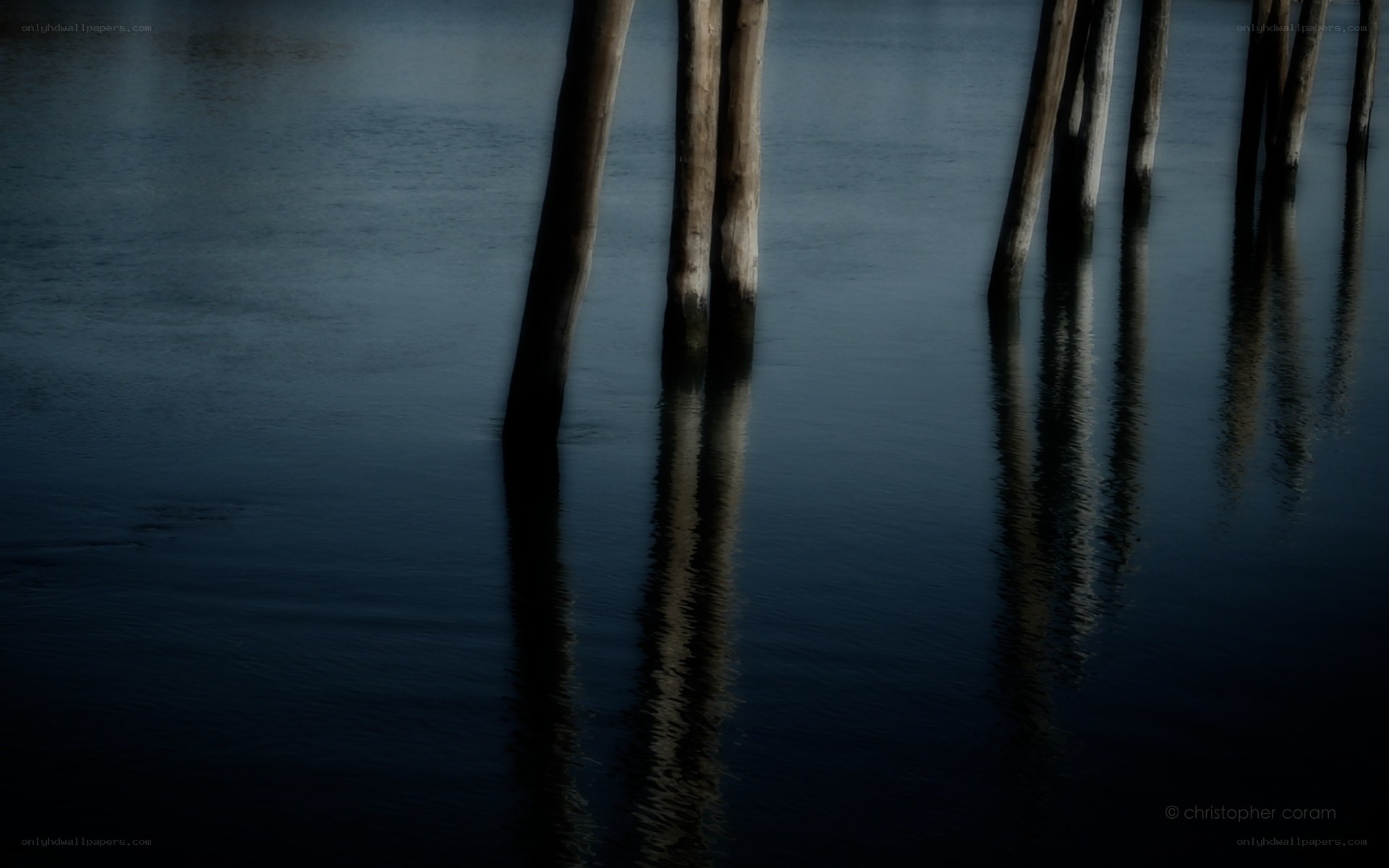 Pilings in dark water
