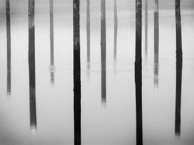 Pilings in foggy water