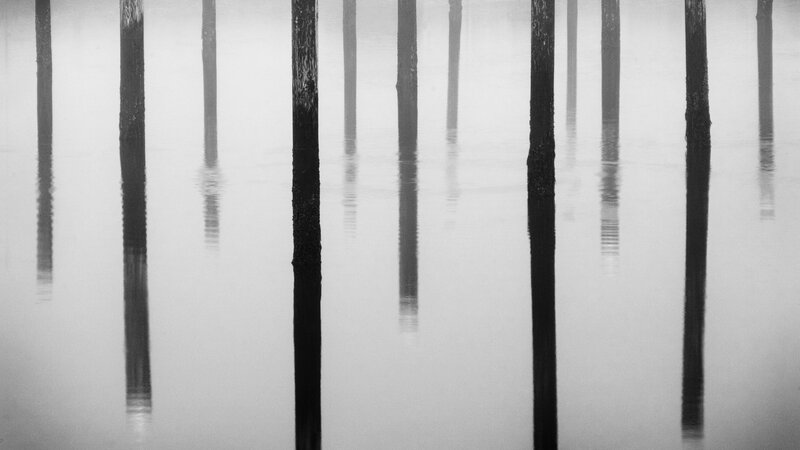 Pilings in misty water
