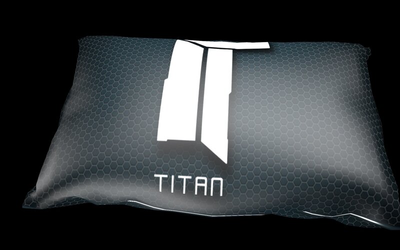 Pillow with Logo