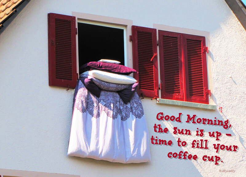 Pillows and Blanket in Window