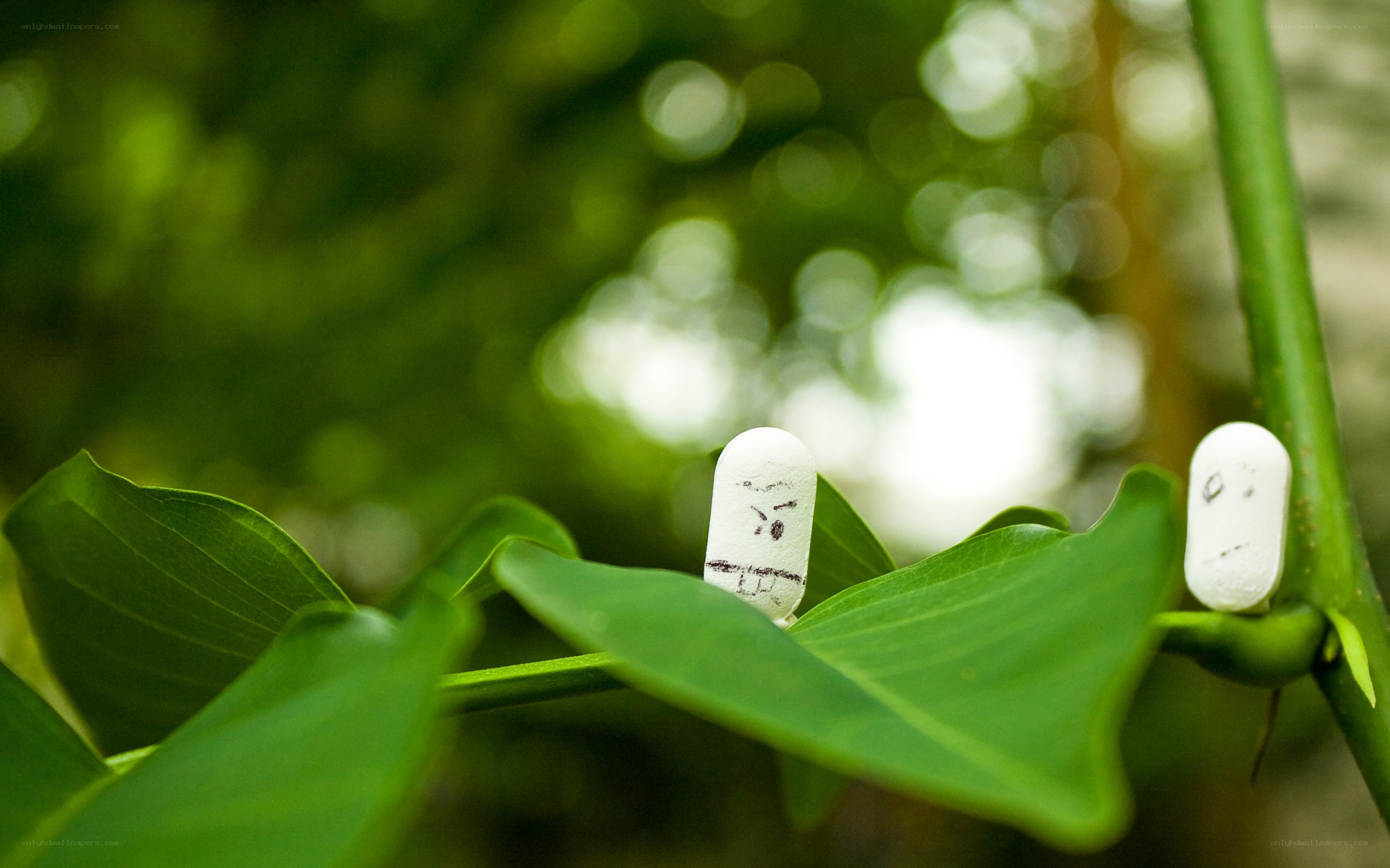 Pills with faces on leaves