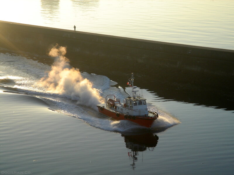 Pilot Boat in Water