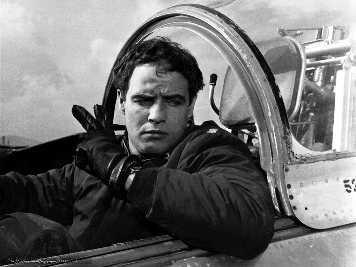 pilot in aircraft cockpit