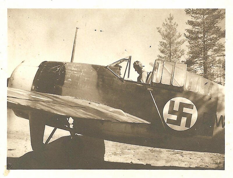 Pilot in Fighter Plane