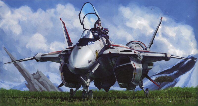 pilot on fighter jet