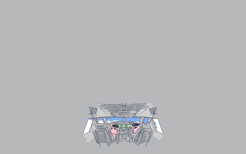 pilot pigs in cockpit