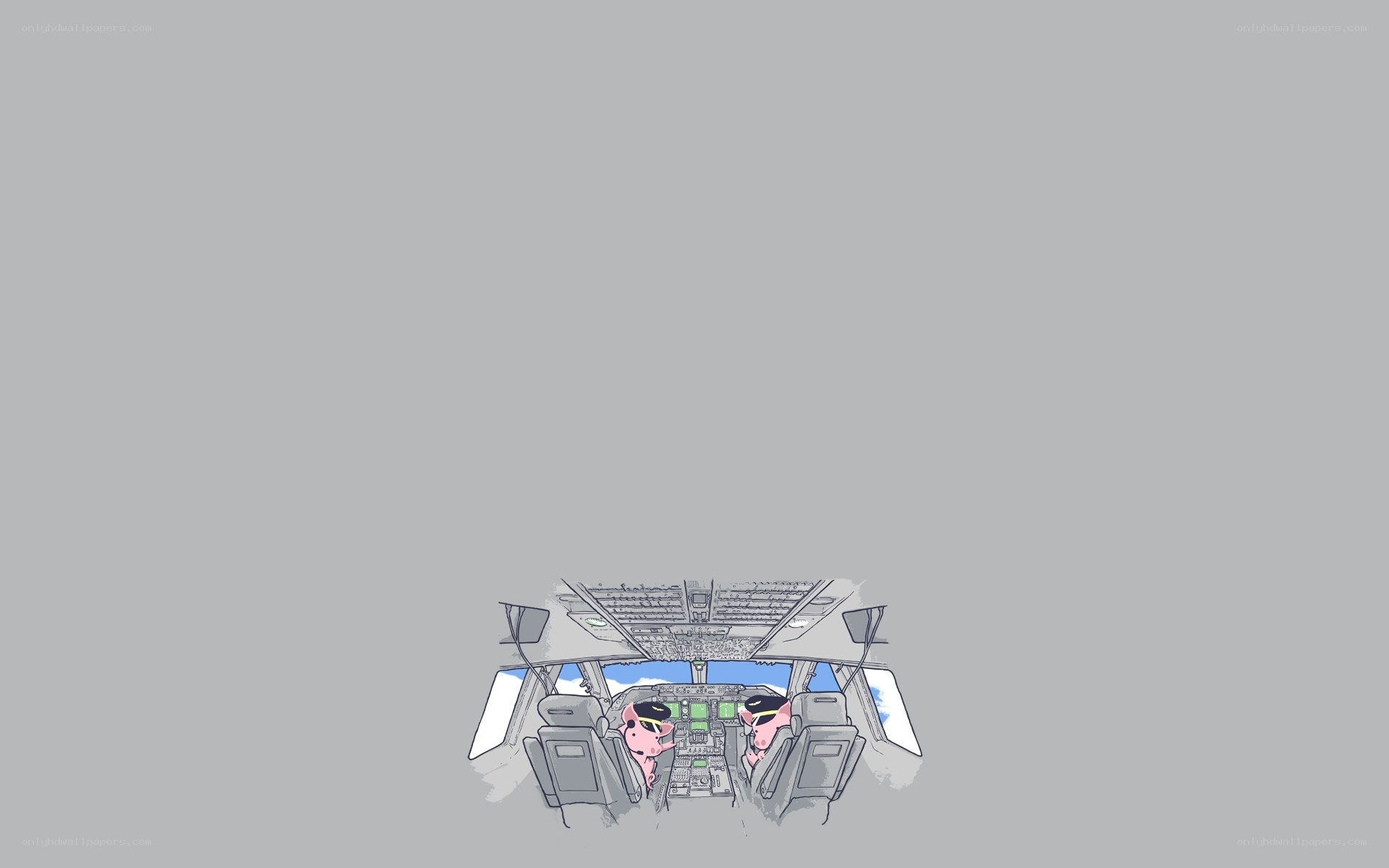 pilot pigs in cockpit
