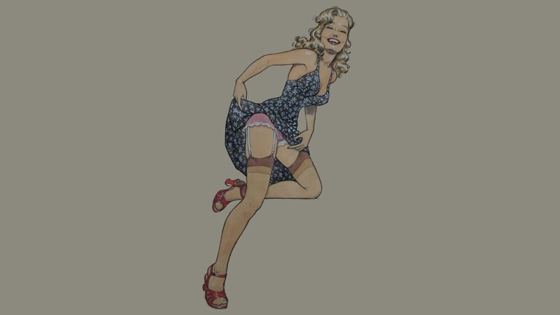 pin-up girl illustration