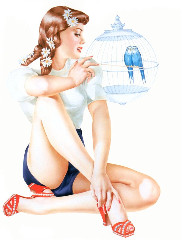 Pin-up girl with birds