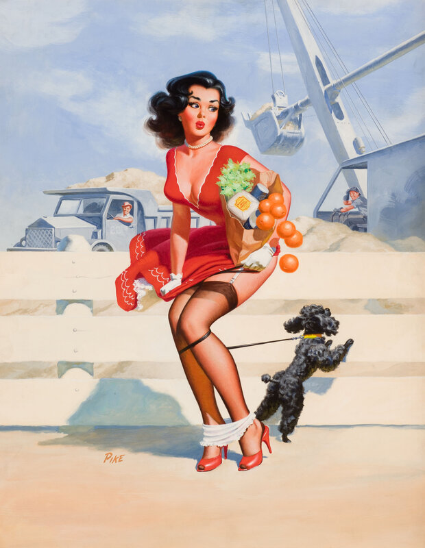 Pin-up woman with groceries