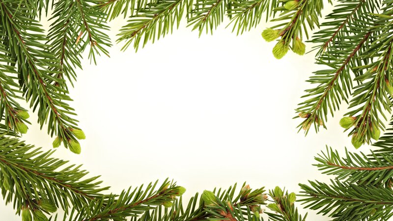 pine branch frame