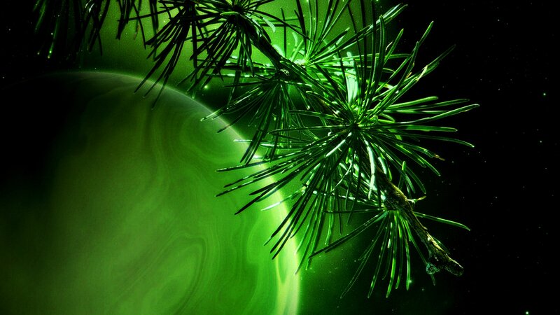 Pine Branch in Space