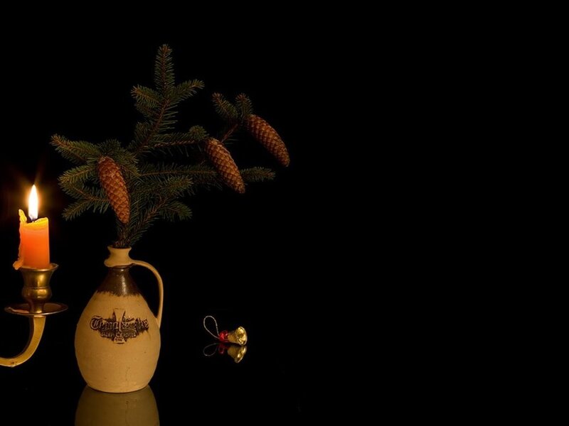 Pine Branch in Vase