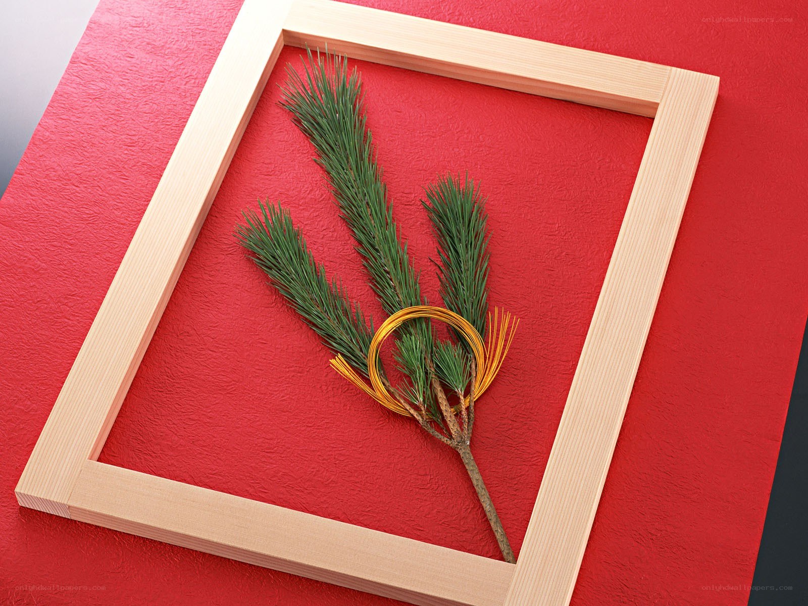 Pine branch in wooden frame