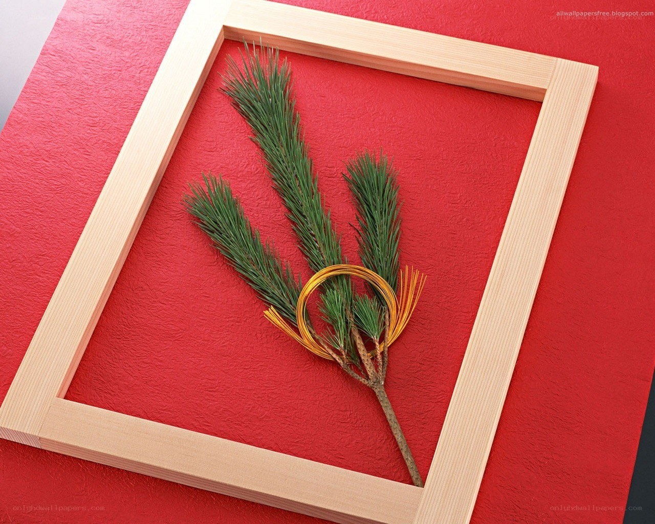 pine branch in wooden frame