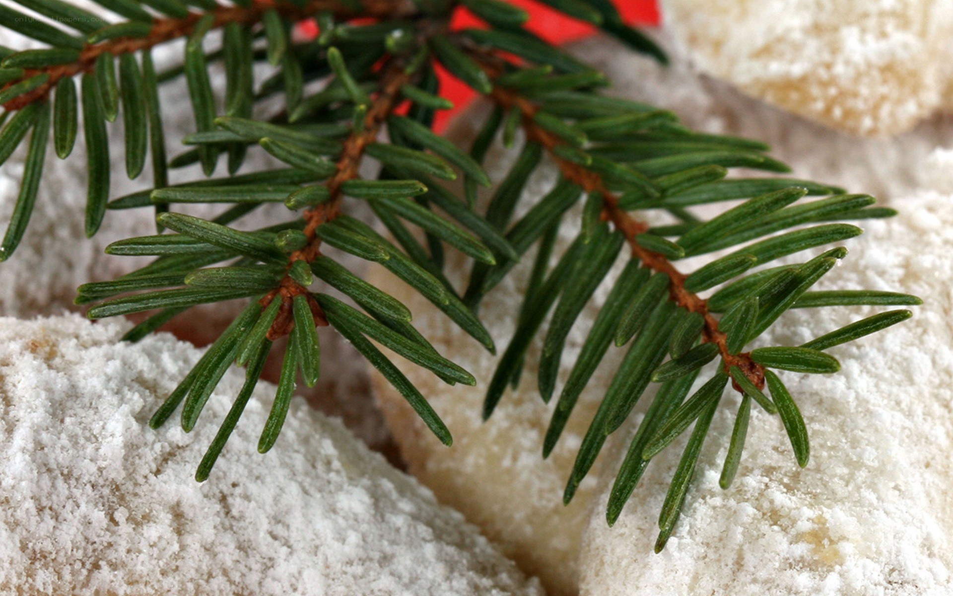 pine branch on powdered treats