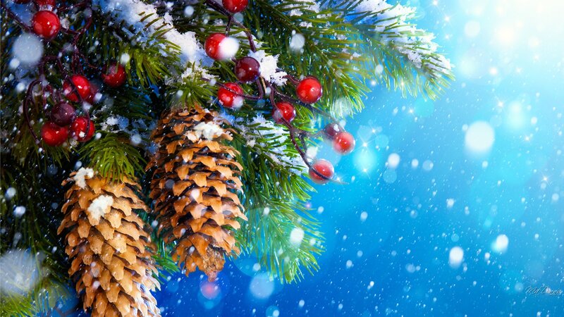Pine Branch with Berries — Blue, Festive