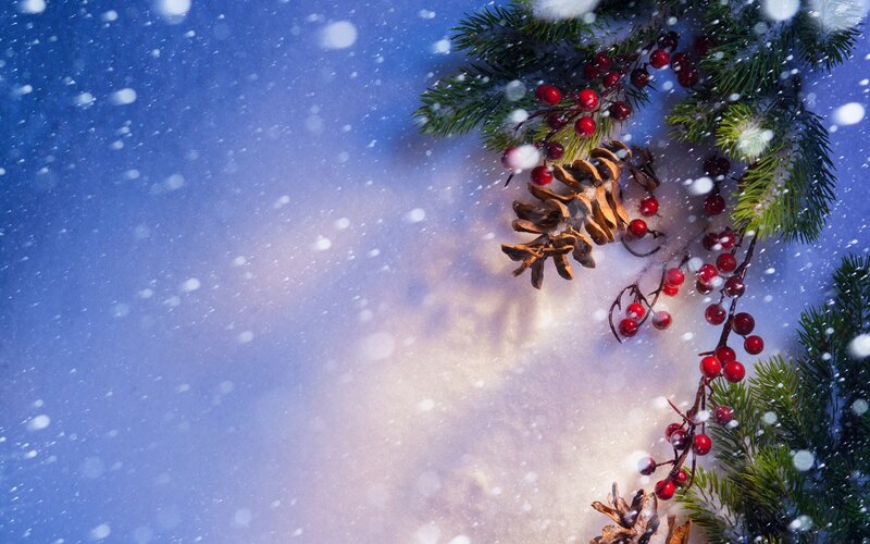 Pine Branch with Berries — Blue, Serene