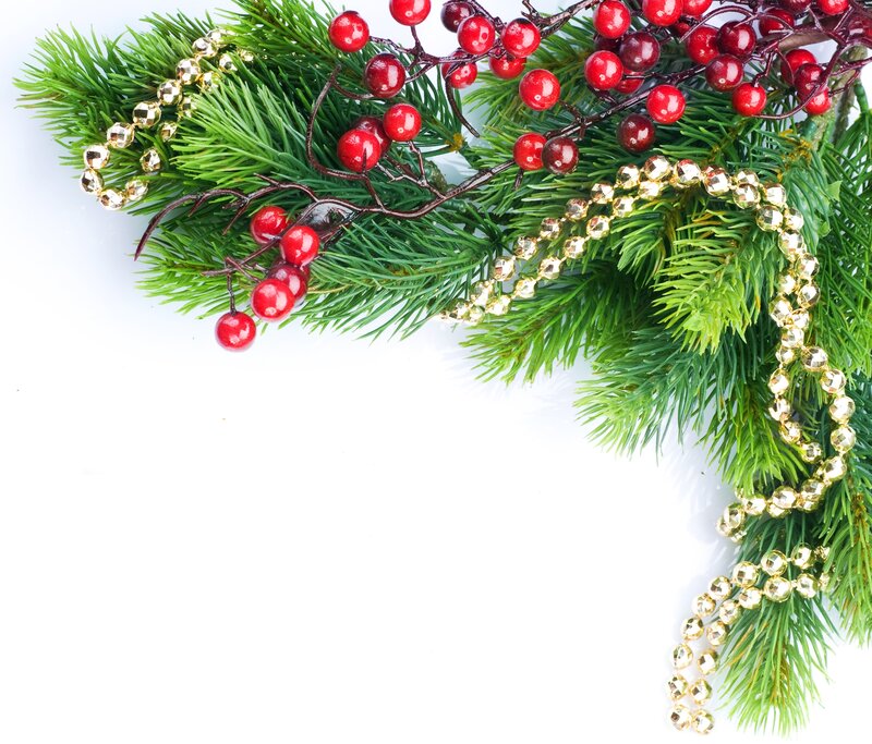 Pine Branch with Berries — Green, Festive