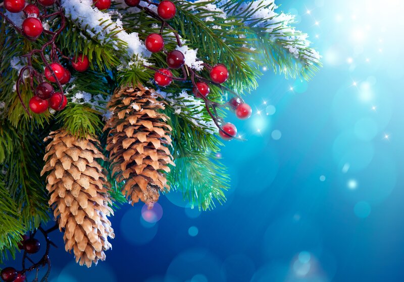 Pine Branch with Berries