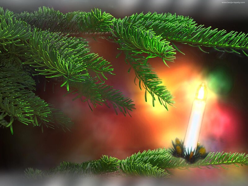 Pine Branch with Candle