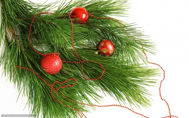 Pine Branch with Ornaments — Green, Festive, Winter
