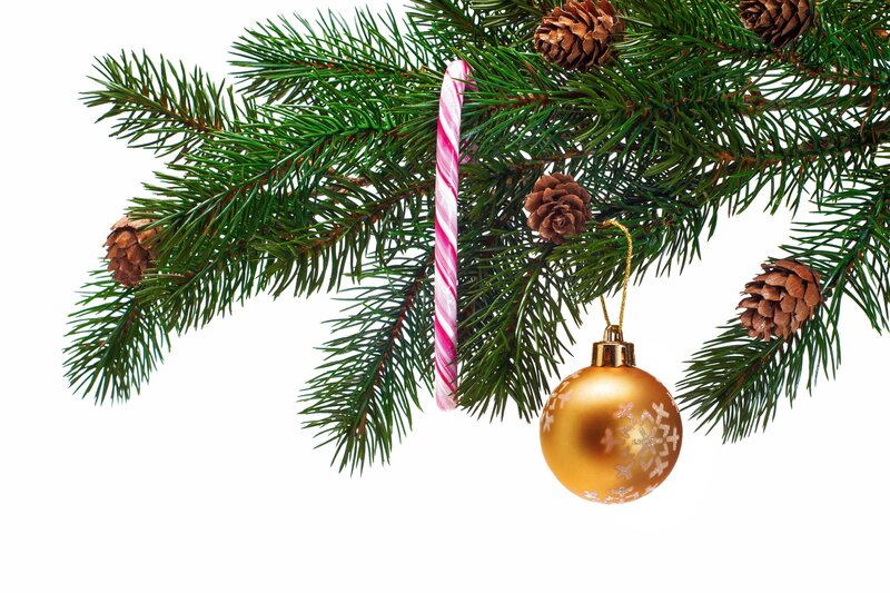 Pine Branch with Ornaments