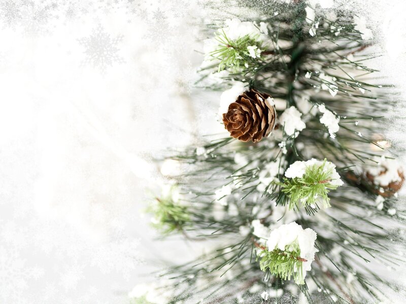 Pine Branch with Pinecone