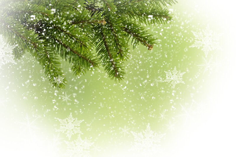 Pine Branch with Snow — Green, Calm, Winter, Photograph, Snowflakes