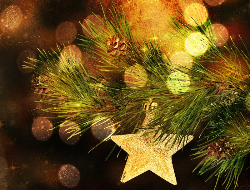 Pine Branch with Star Ornament