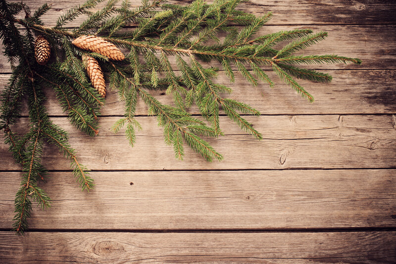Pine Branches and Cones — Brown