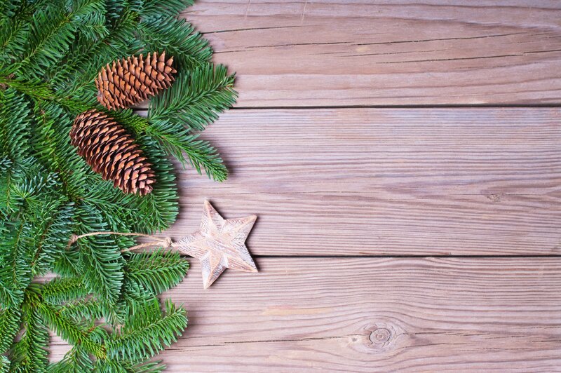 Pine Branches and Cones — Green, Calm