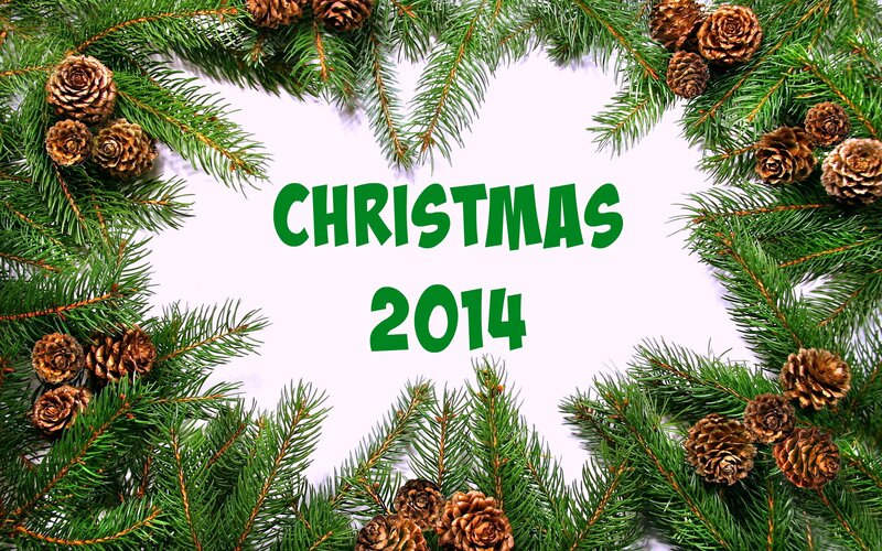 Pine Branches and Cones — Green, Festive, Winter