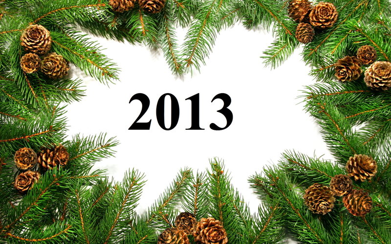 Pine Branches and Cones
