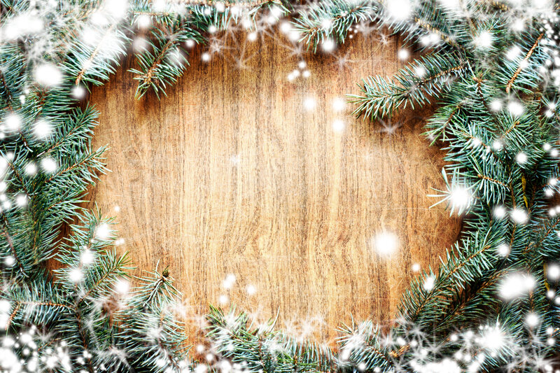 Pine Branches on Wood
