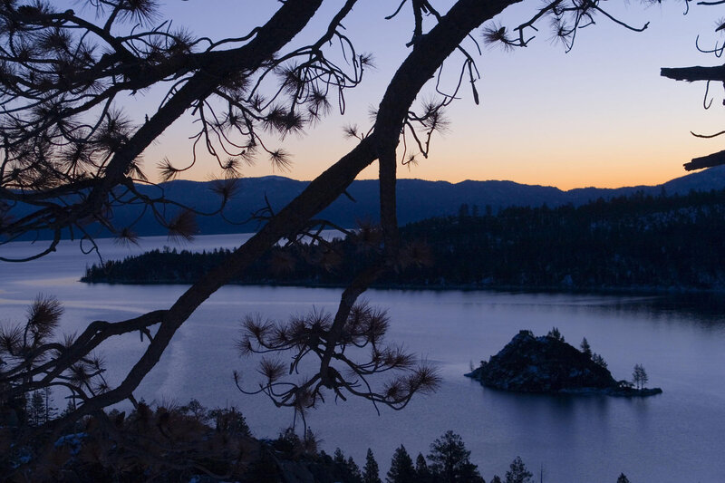 Pine Branches over Lake — Blue, Serene, Sunset, Photograph, Mountains