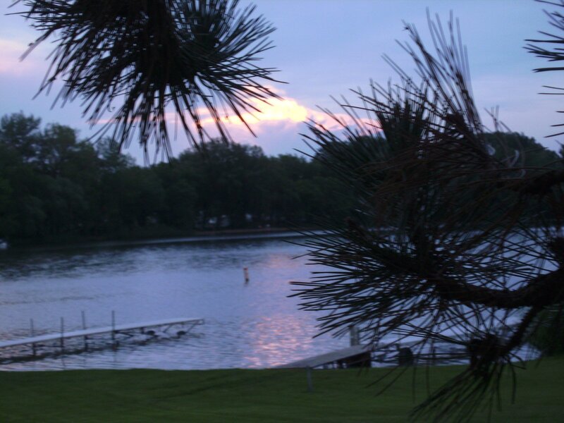 Pine Branches over Lake — Blue, Serene, Sunset, Photograph