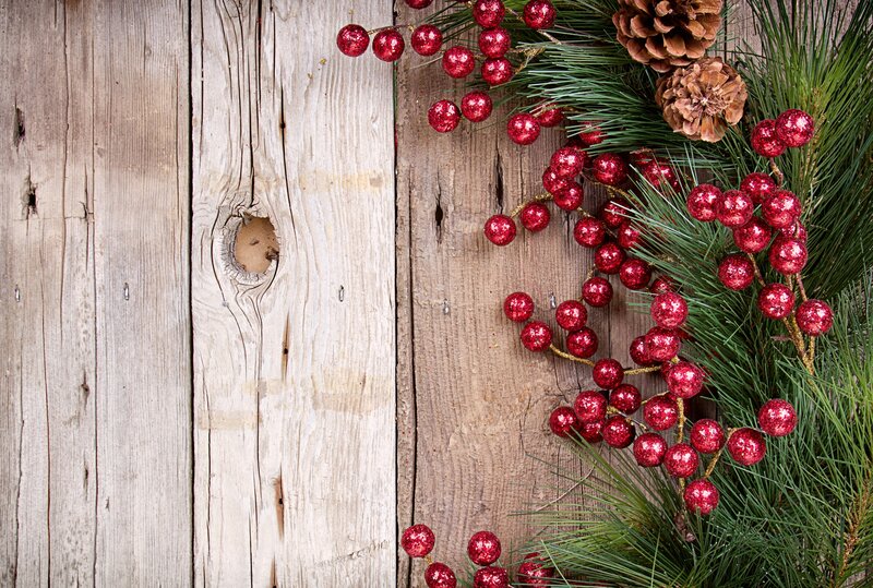 Pine Branches with Berries — Green, Festive