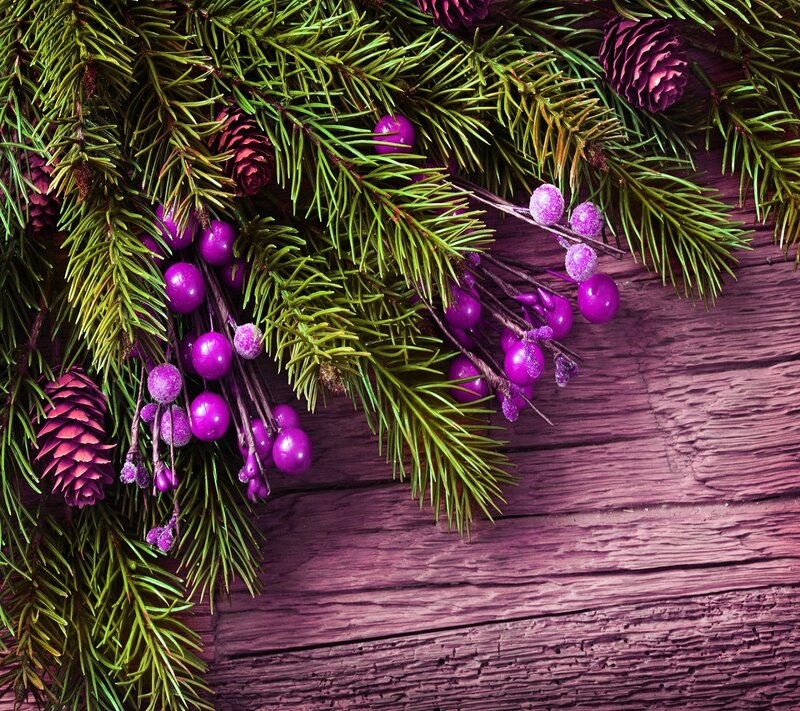 Pine Branches with Berries — Green, Festive, Winter, Photograph, Cones