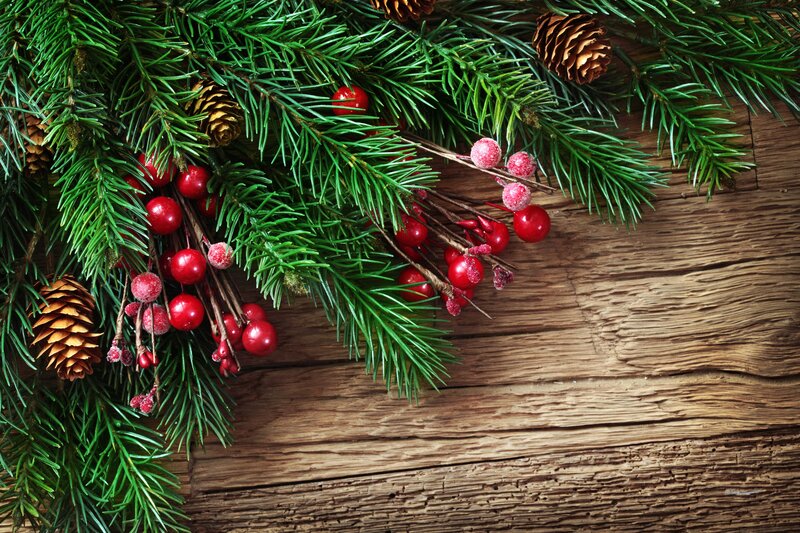 Pine Branches with Berries — Green, Festive, Winter, Photograph, Pine Cones