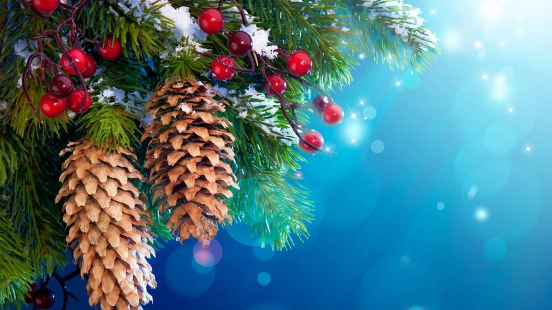 Pine Branches with Berries — Green, Festive, Winter, Photograph, Pinecones